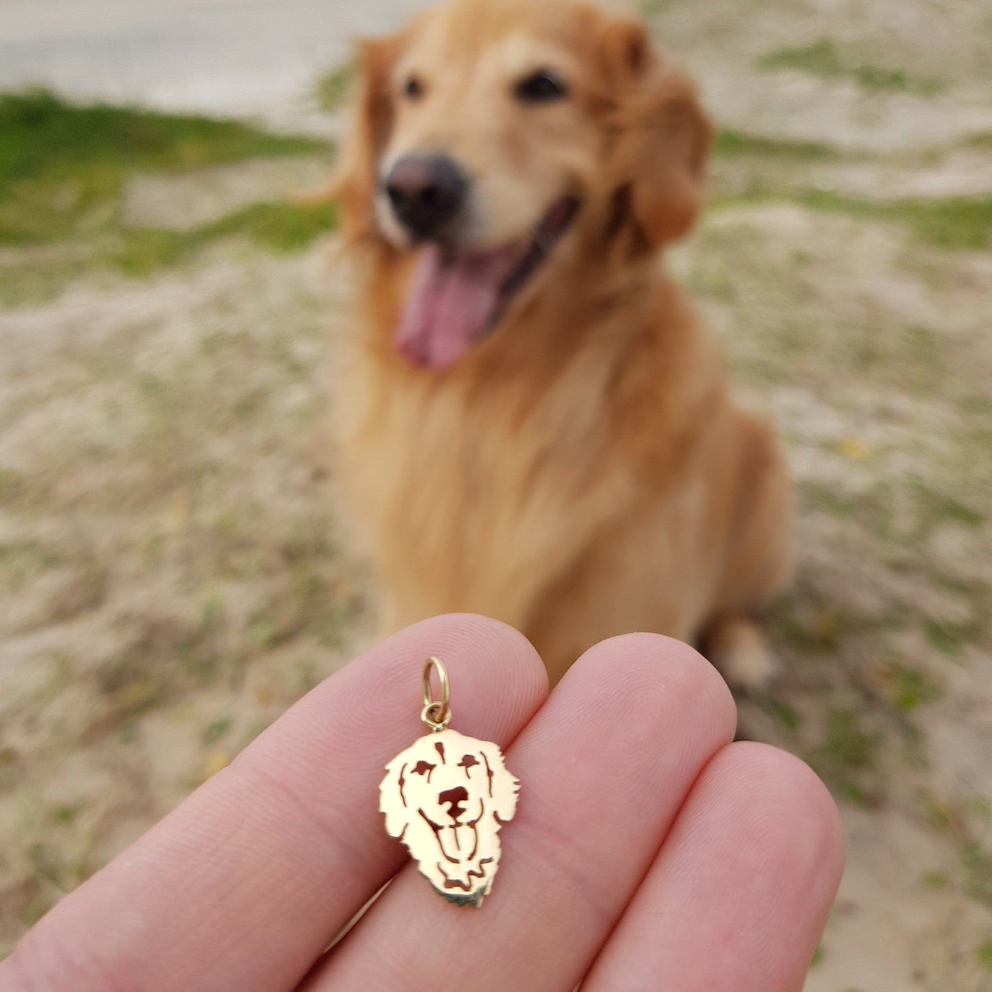 Pingente Pet Golden Retriever Ouro 18k