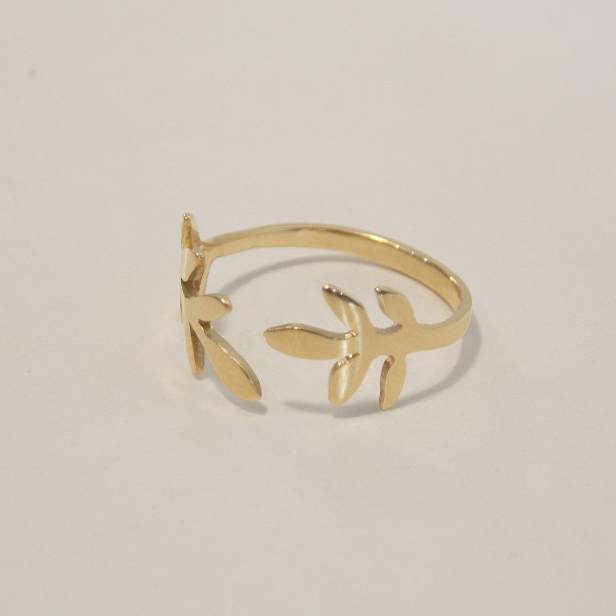 Anel de Ouro 18k Folhas em fundo
