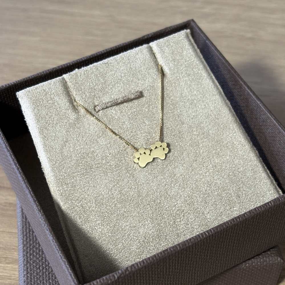 Colar duas Patinha Ouro 18k no estojo de joia com luz natural