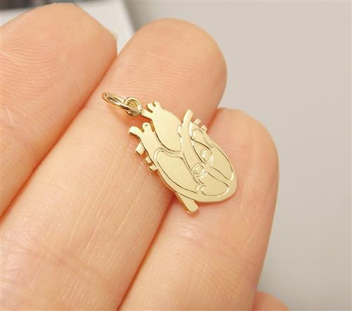 Pingente Coração Órgão Ouro 18k