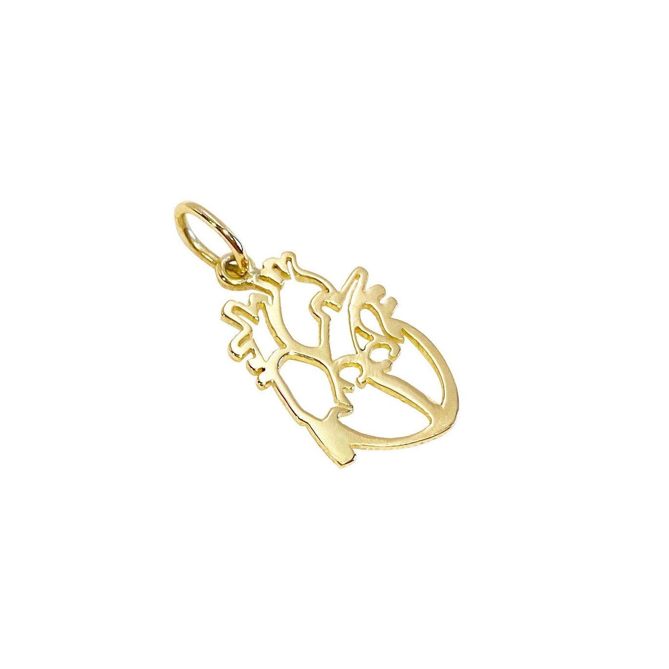 Pingente Coração Órgão Vazado Ouro 18k