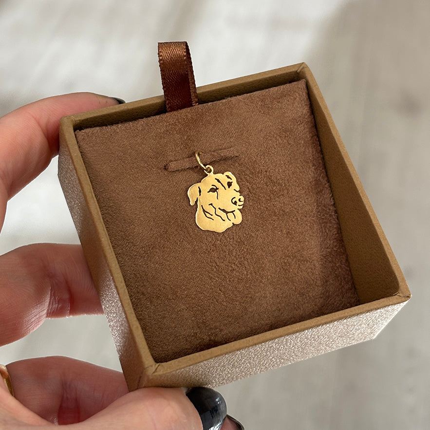 Pingente Pet Vira Lata Ouro 18K