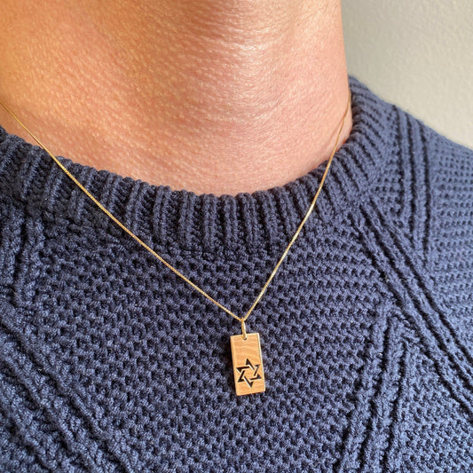 Pingente Medalha Estrela de Davi Ouro 18k