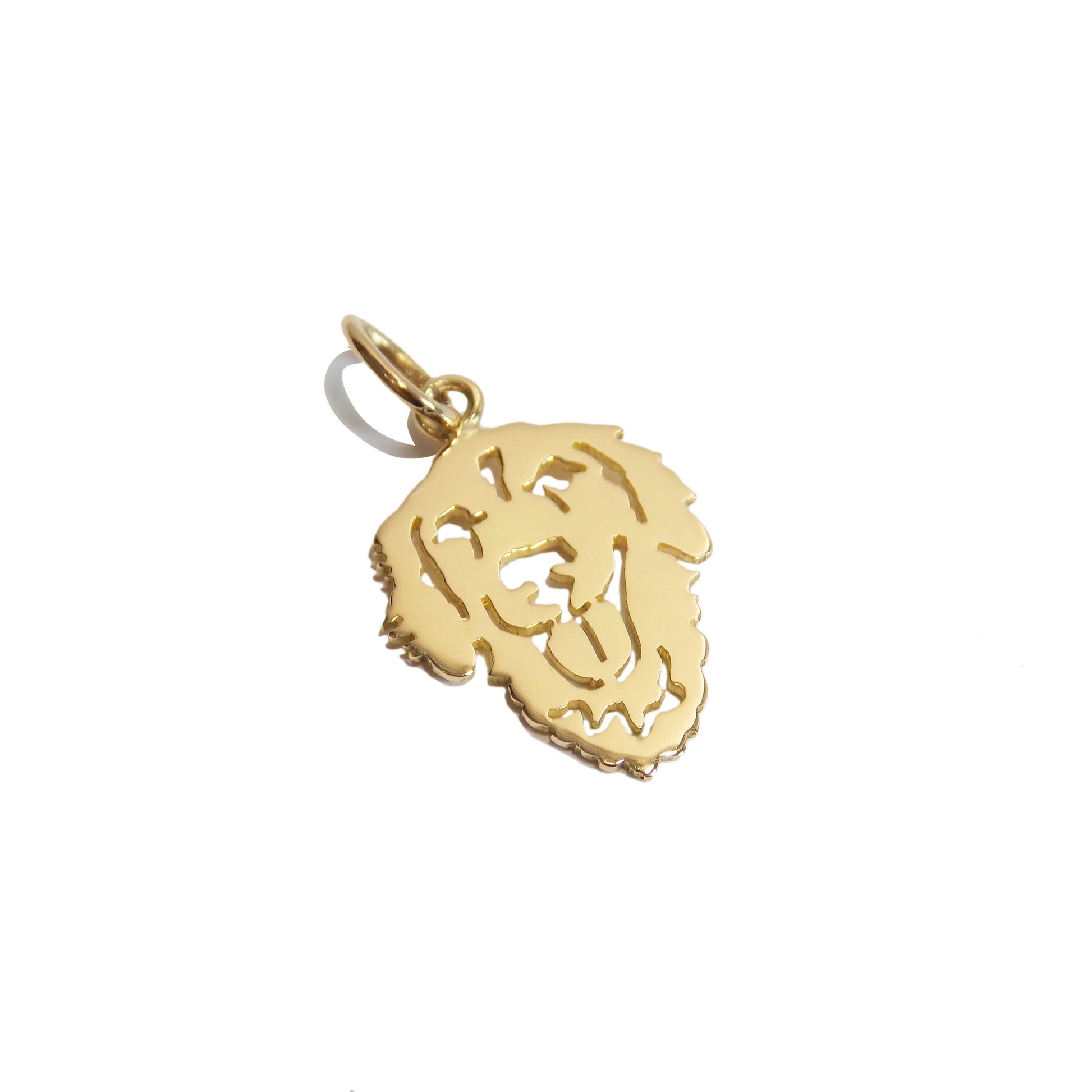 Pingente Pet Golden Retriever Ouro 18k