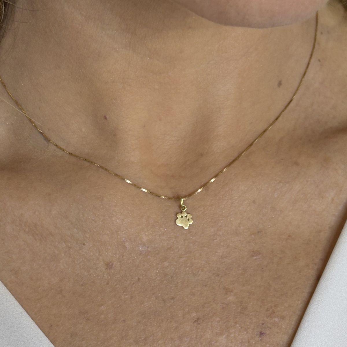 Colar Patinha Ouro 18k